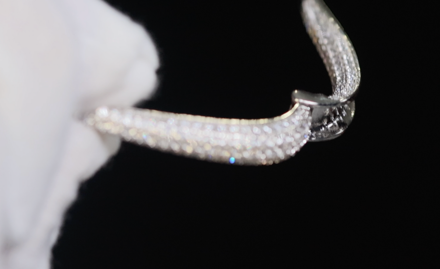 Big Silver Hoop Earrings