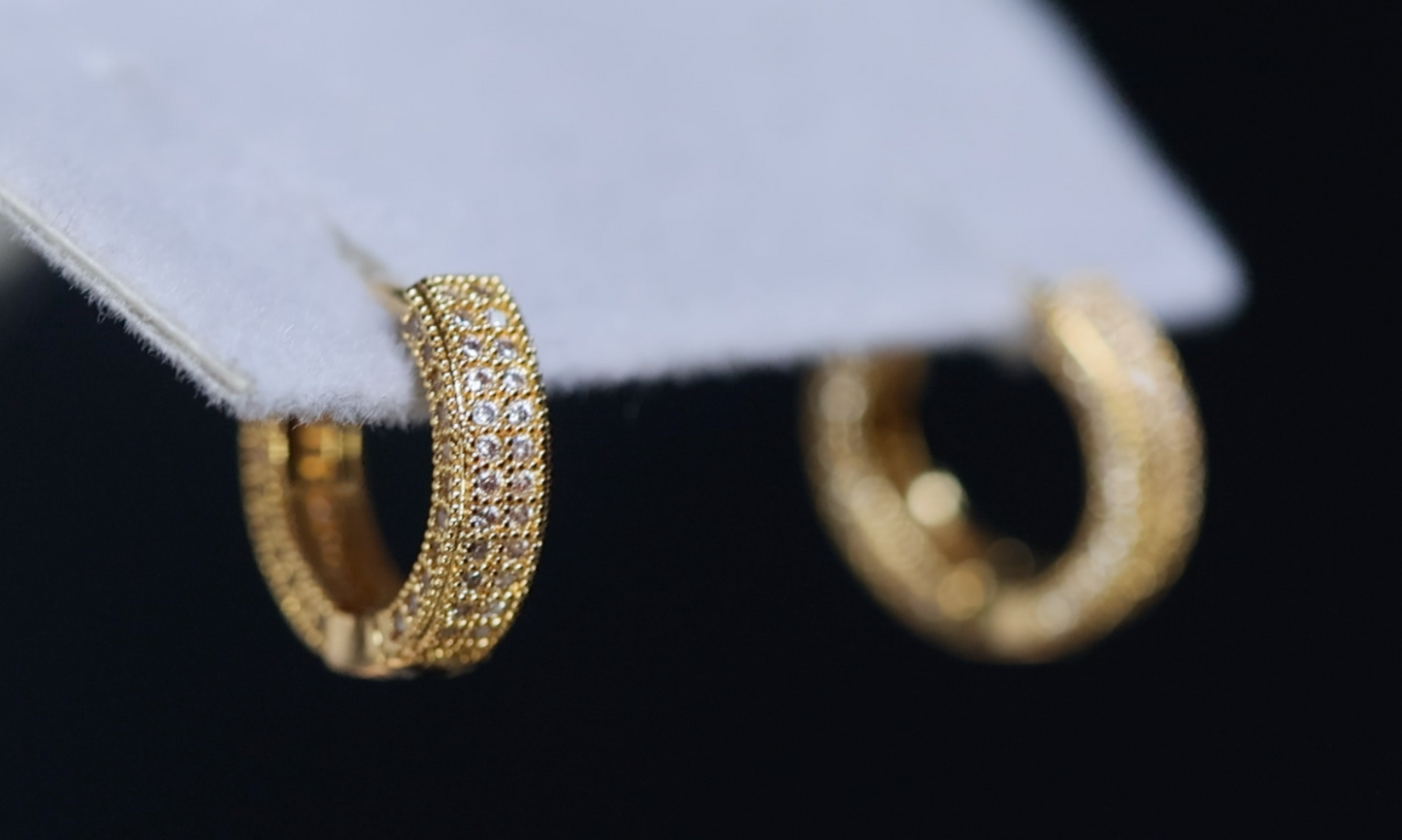 Iced Out Hoop Earrings