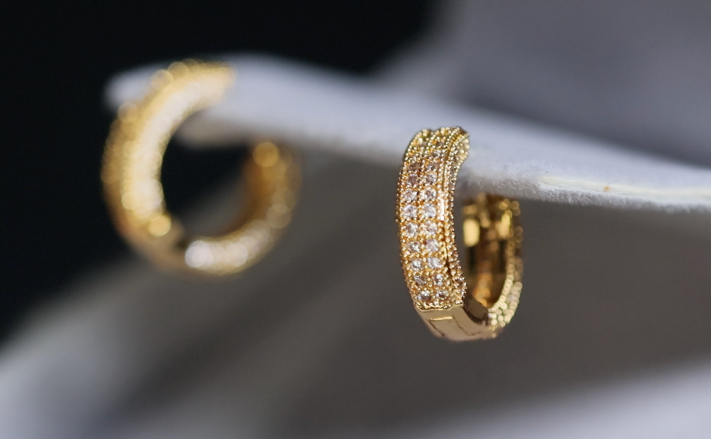 Iced Out Hoop Earrings